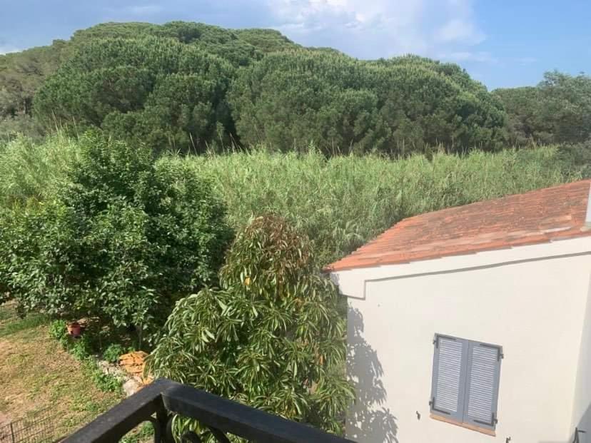 Appartement Independant Dans Villa, Entre Frejus Et St Raphael ภายนอก รูปภาพ