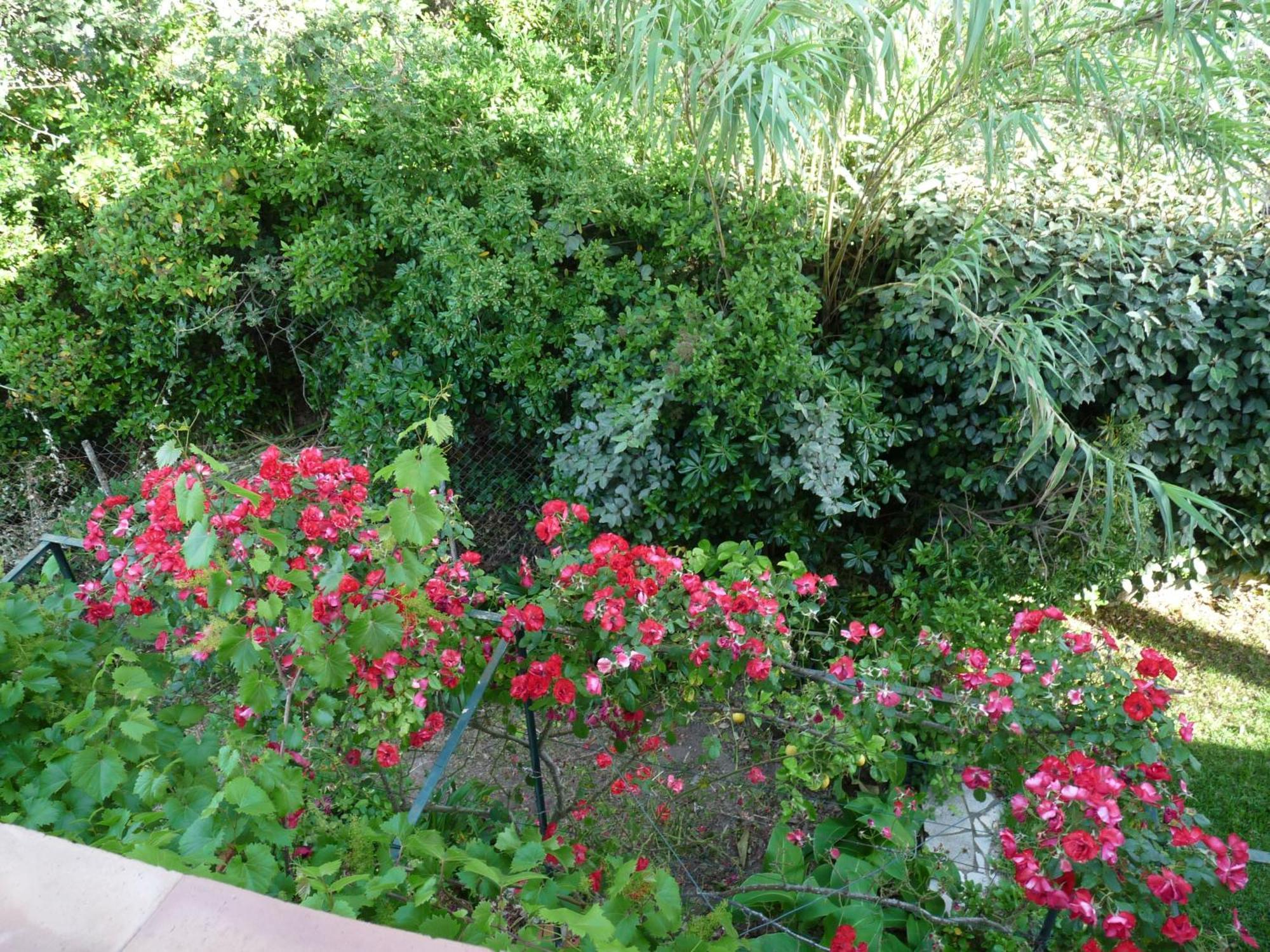 Appartement Independant Dans Villa, Entre Frejus Et St Raphael ภายนอก รูปภาพ